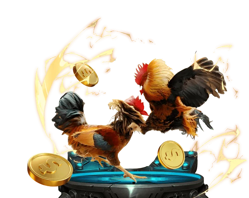 Hướng dẫn đăng ký và xem đá gà trực tiếp